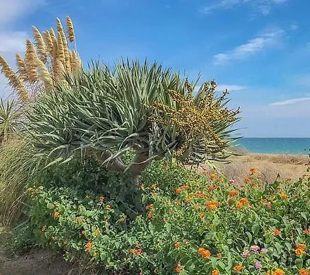 Feriehus Three Bedroom Townhouse 100 Meters From The Beach! Estepona